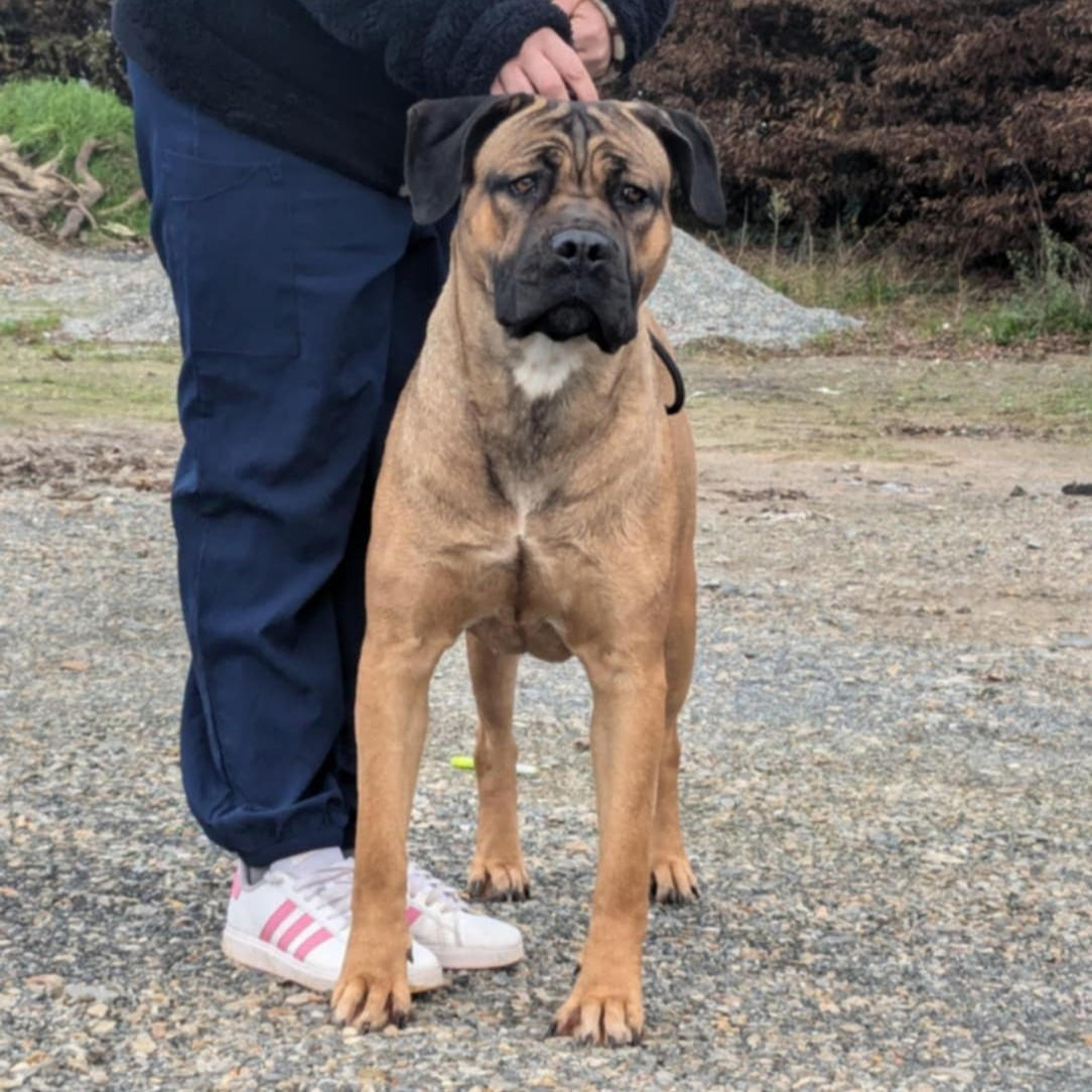 Una bella storia per rdlr aka Fauvette Des Guerriers Du Fenua