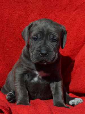 Beyond du Royaume de la Romance